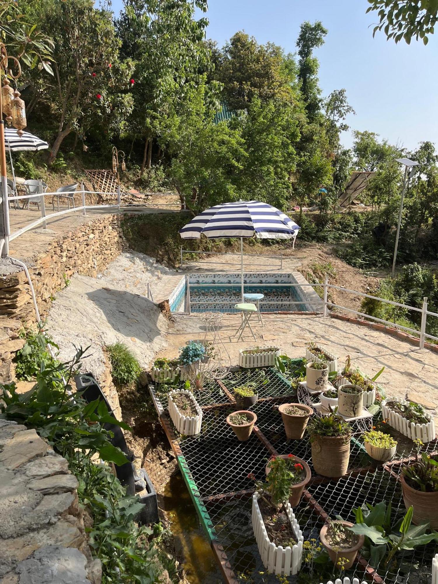 The Rare One'S Mukteshwar - Resort & Cafe מראה חיצוני תמונה
